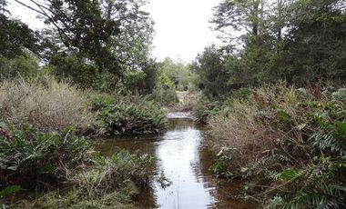 Agrícola en Venta en Detras aeropuerto El Tepual
