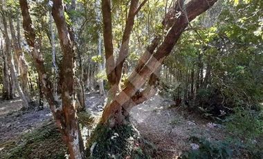 Parcela en Venta en CARIQUILDA MAULLIN