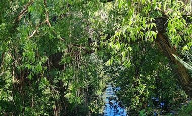 Sitio en Venta en Camino Cerro Colorado KM.3,5