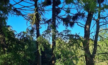 Sitio en Venta en Camino Cerro Colorado KM.3,5