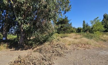 Sitio en Venta en Dr Pablo Murua