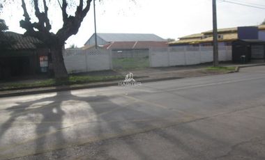 Sitio en Arriendo en luis cruz martinez 2800
