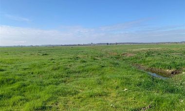 Agrícola en Venta en Chillan Viejo