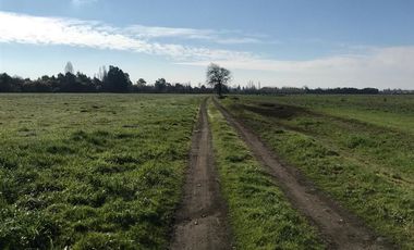 Agrícola en Venta en Chillan Viejo