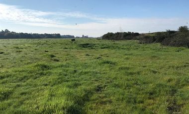 Agrícola en Venta en Chillan Viejo