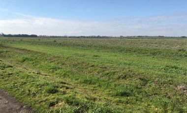 Agrícola en Venta en Chillan Viejo