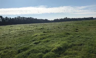 Agrícola en Venta en Chillan Viejo