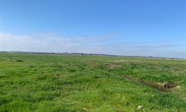 Agrícola en Venta en Chillan Viejo