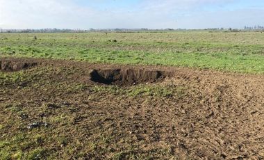 Agrícola en Venta en Chillan Viejo