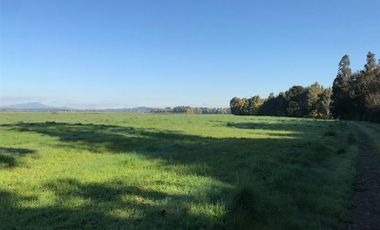 Agrícola en Venta en Chillan Viejo