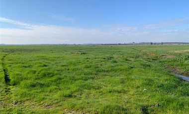 Agrícola en Venta en Chillan Viejo