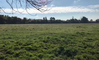 Agrícola en Venta en Chillan Viejo
