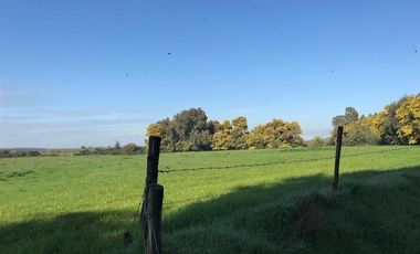 Agrícola en Venta en Chillan Viejo