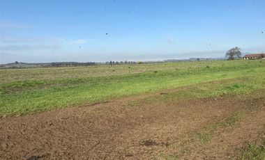 Agrícola en Venta en Chillan Viejo