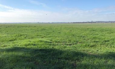 Agrícola en Venta en Chillan Viejo