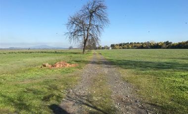 Agrícola en Venta en Chillan Viejo