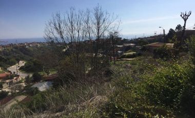 Sitio en Venta en SITIO CON PENDIENTE, EN SONAP, AGUA SANTA