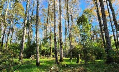 Parcela en Venta en RANCO NATIVO LA UNION