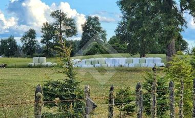 Parcela en Venta en RANCO NATIVO LA UNION