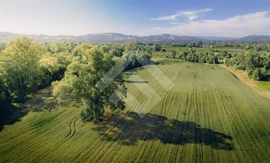 Parcela en Venta en RANCO NATIVO LA UNION