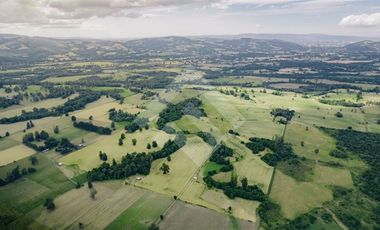 Parcela en Venta en RANCO NATIVO LA UNION