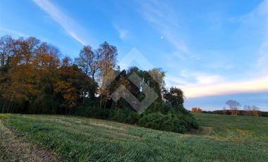 Parcela en Venta en RANCO NATIVO LA UNION