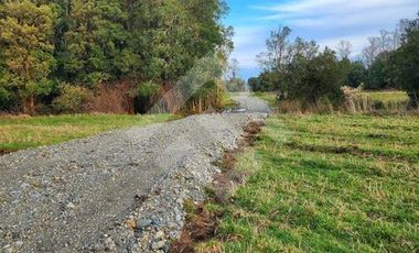 Parcela en Venta en RANCO NATIVO LA UNION