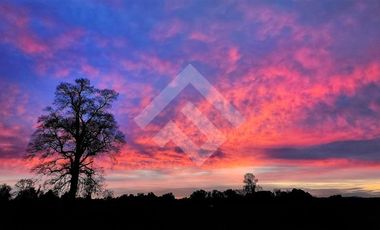 Parcela en Venta en RANCO NATIVO LA UNION