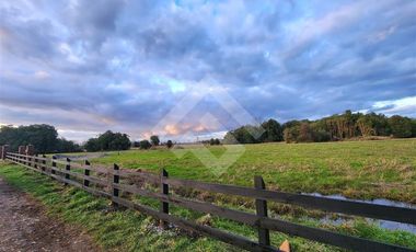 Parcela en Venta en RANCO NATIVO LA UNION