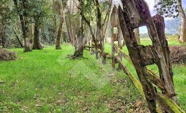 Parcela en Venta en RANCO NATIVO LA UNION