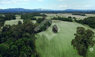 Parcela en Venta en RANCO NATIVO LA UNION