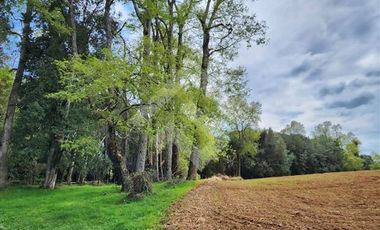 Parcela en Venta en RANCO NATIVO LA UNION