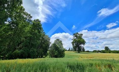 Parcela en Venta en RANCO NATIVO LA UNION