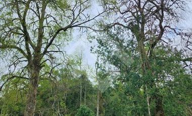 Parcela en Venta en RANCO NATIVO LA UNION