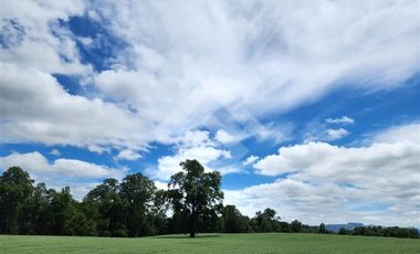 Parcela en Venta en RANCO NATIVO LA UNION