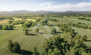 Parcela en Venta en RANCO NATIVO LA UNION