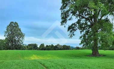 Parcela en Venta en RANCO NATIVO LA UNION