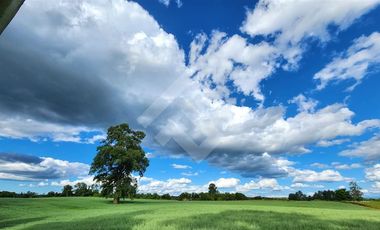 Parcela en Venta en RANCO NATIVO LA UNION