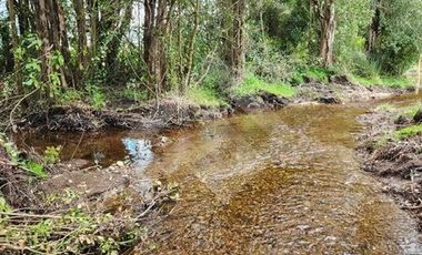 Parcela en Venta en RANCO NATIVO LA UNION