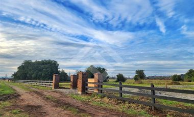 Parcela en Venta en RANCO NATIVO LA UNION