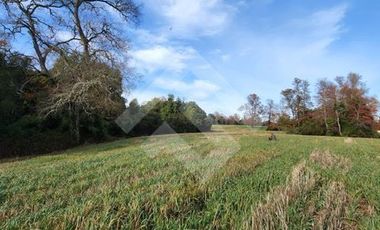 Parcela en Venta en RANCO NATIVO LA UNION