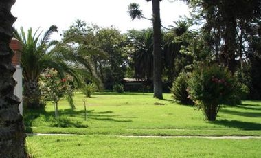 Agrícola en Venta en Ruta 68 KLM 36