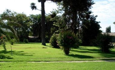 Agrícola en Venta en Ruta 68 KLM 36