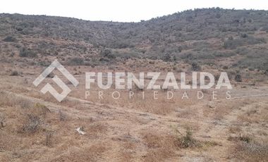 Parcela en Venta en Estancia Cruz de Cañas, Pan de Azucar