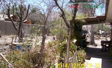 Sitio en Venta en Terreno en venta en avenida Juan Martinez