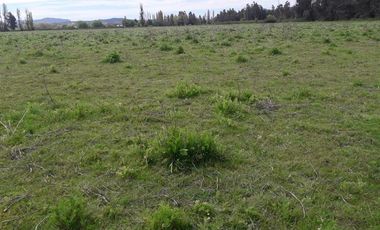 Sitio en Venta en AV. BALMACEDA / CHANQUICO