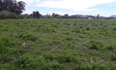 Sitio en Venta en AV. BALMACEDA / CHANQUICO