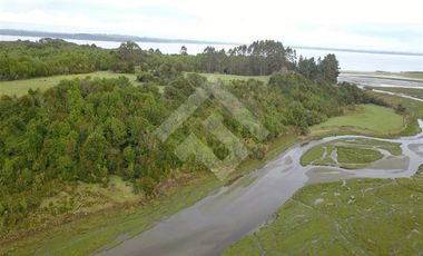 Sitio en Venta en pargua ruta V-972