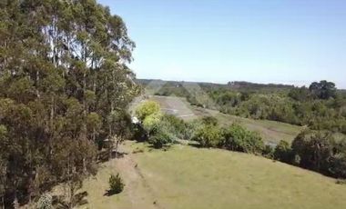 Sitio en Venta en pargua ruta V-972