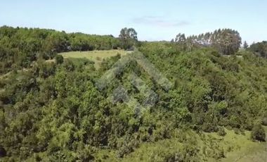 Sitio en Venta en pargua ruta V-972